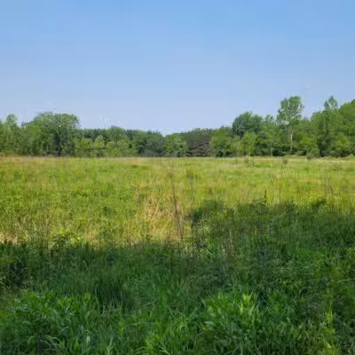 Seven Ponds Nature Center - Dryden,