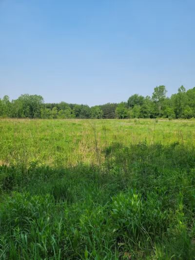 Seven Ponds Nature Center - Dryden, MI