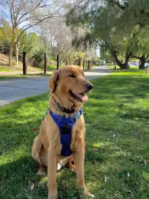 Duarte Recreational Trail - Duarte, CA