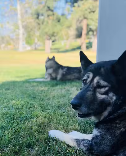 E-Z Dog Wash - Duarte, CA