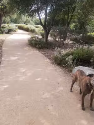 Encanto Park - Duarte, CA