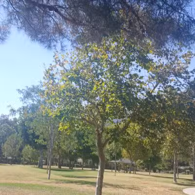 Encanto Park - Duarte, CA
