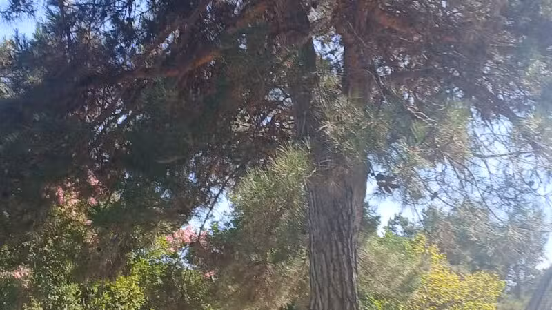 Encanto Park - Duarte, CA