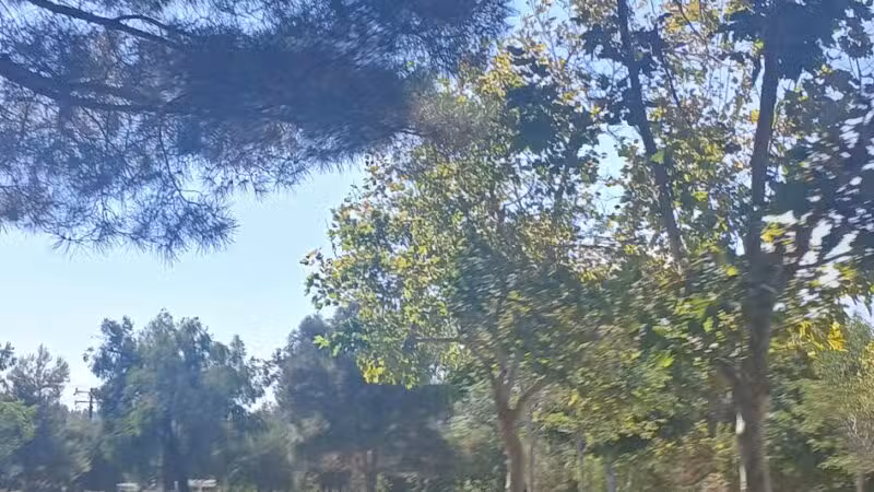 Encanto Park - Duarte, CA
