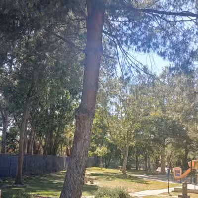 Glenn Miller Park - Duarte, CA