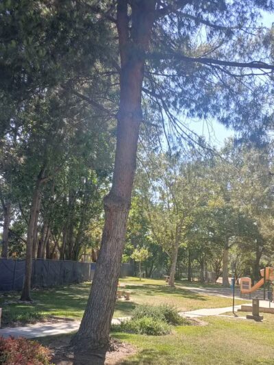 Glenn Miller Park - Duarte, CA