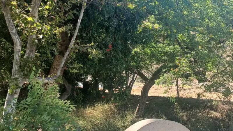 Glenn Miller Park - Duarte, CA