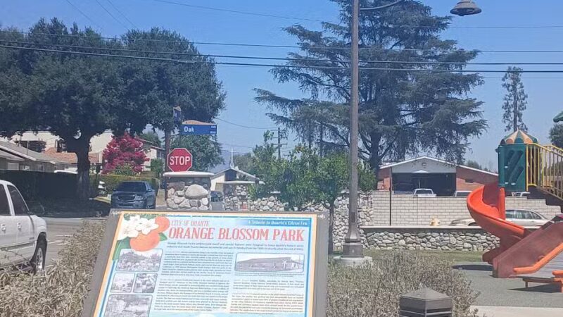 Orange Blossom Park - Duarte, CA