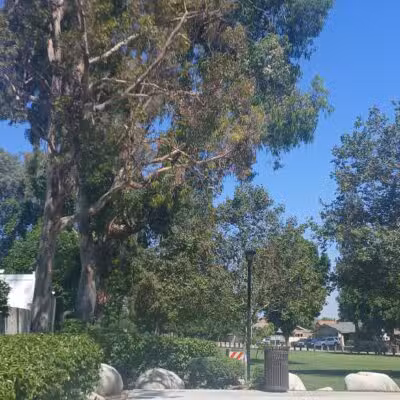 Royal Oaks Park - Duarte, CA