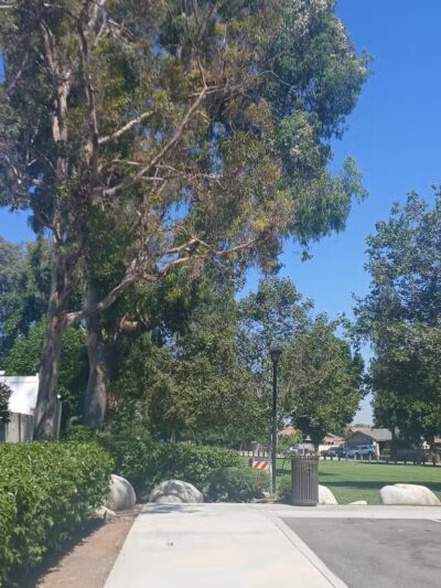 Royal Oaks Park - Duarte, CA