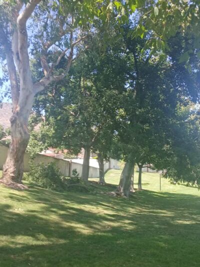 Royal Oaks Park - Duarte, CA