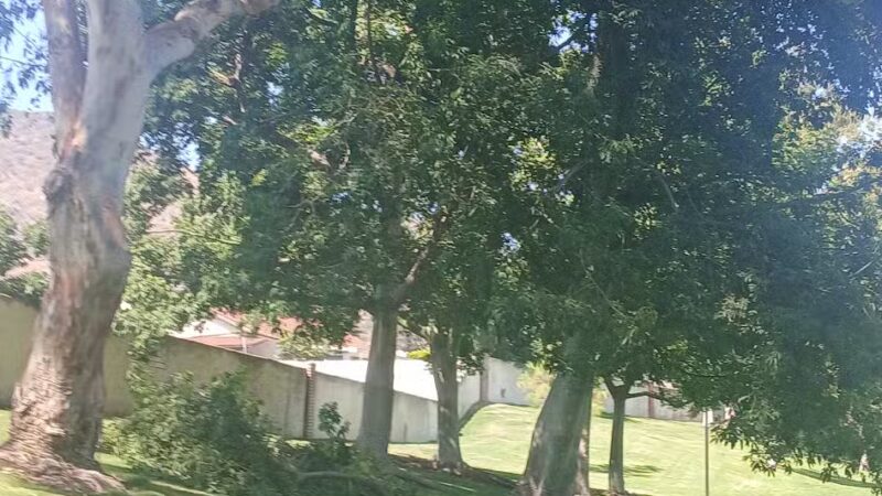 Royal Oaks Park - Duarte, CA