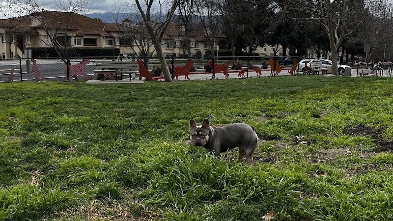 Dougherty Hills Dog Park - Dublin, CA