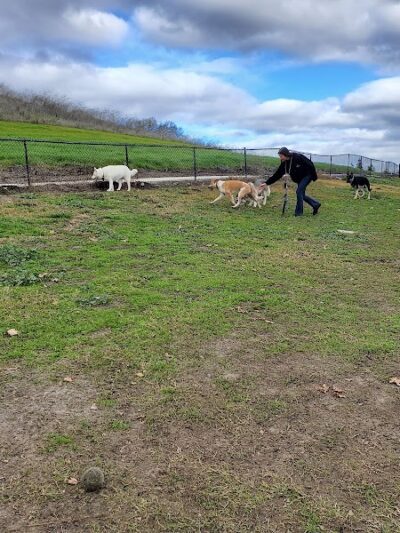 Dougherty Hills Dog Park - Dublin, CA