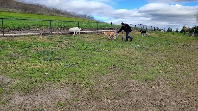 Dougherty Hills Dog Park - Dublin, CA