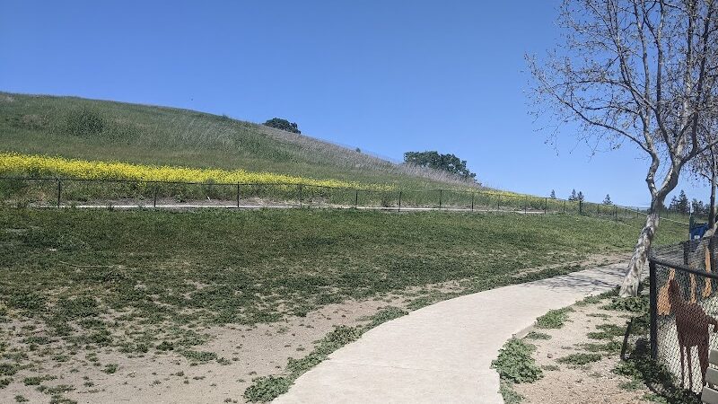 Dougherty Hills Dog Park - Dublin, CA