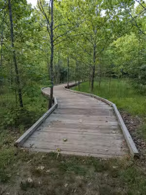 Kincora Heron Nature Trail - Dulles, VA