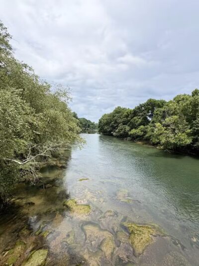 Chattapoochee Dog Park - Duluth, GA