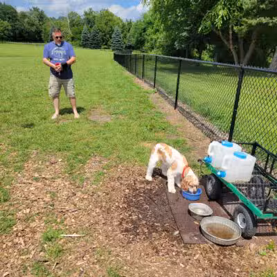 Dundas Dog Park - Dundas, MN