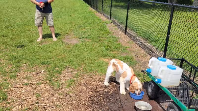 Dundas Dog Park - Dundas, MN