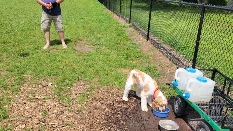 Dundas Dog Park - Dundas, MN