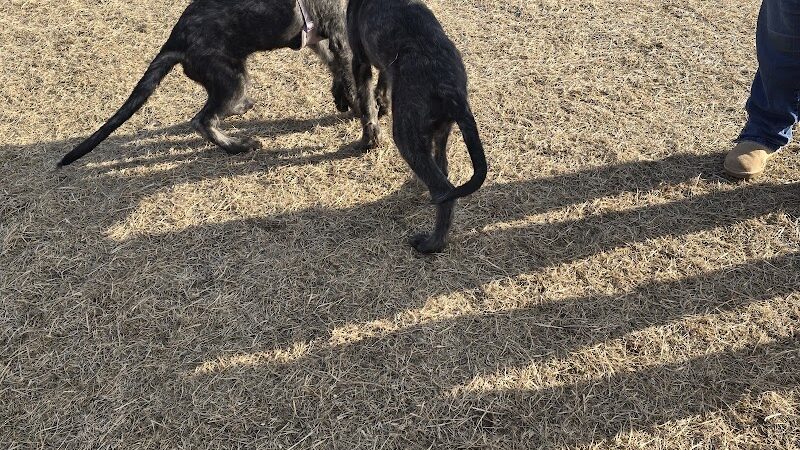 Dundas Dog Park - Dundas, MN