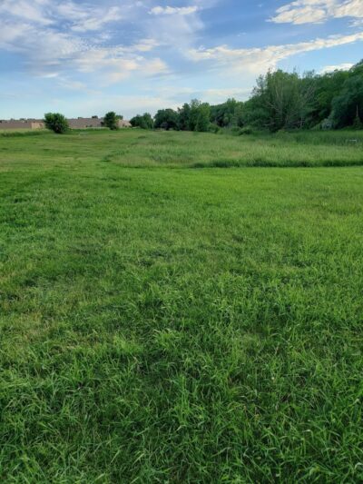 Dundas Dog Park - Dundas, MN