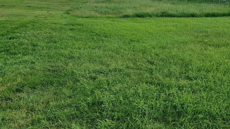 Dundas Dog Park - Dundas, MN