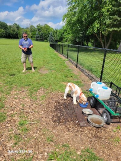 Dundas Dog Park - Dundas, MN