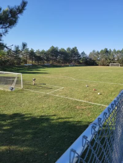 Reggie's Park - Dundee,