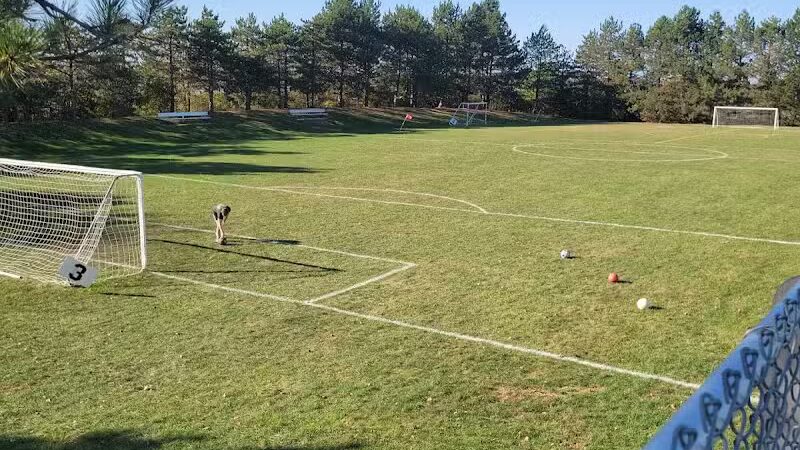 Reggie's Park - Dundee,