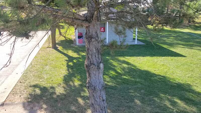 Reggie's Park - Dundee,