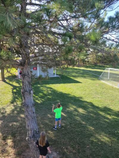 Reggie's Park - Dundee,