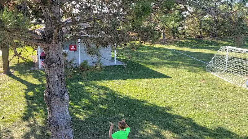 Reggie's Park - Dundee,