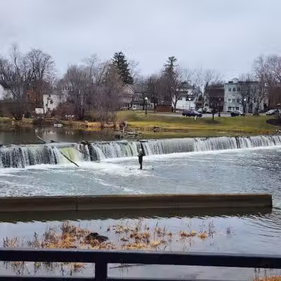Wolverine Park - Dundee,