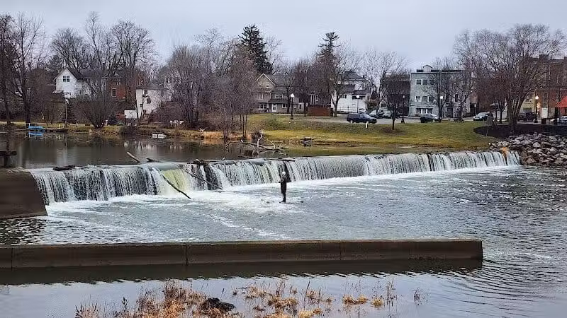 Wolverine Park - Dundee,