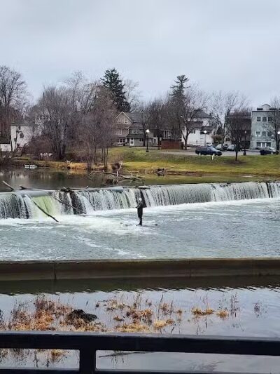 Wolverine Park - Dundee,