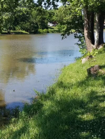 Wolverine Park - Dundee,