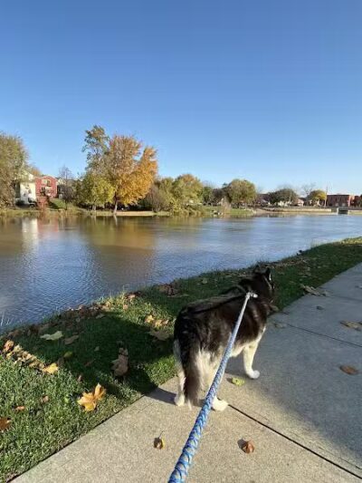 Wolverine Park - Dundee,