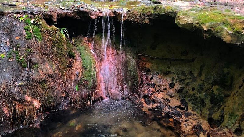 Dunkirk District Park - Dunkirk, MD