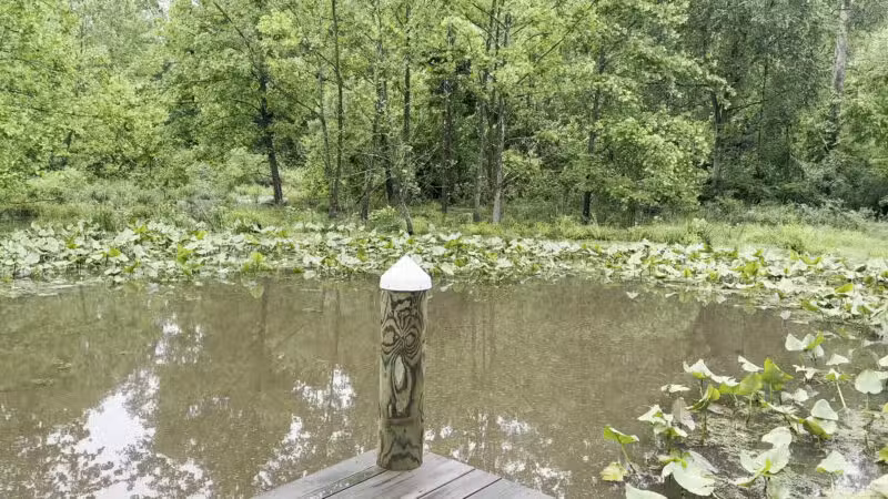 Ward Farm Recreation and Nature Park - Dunkirk, MD