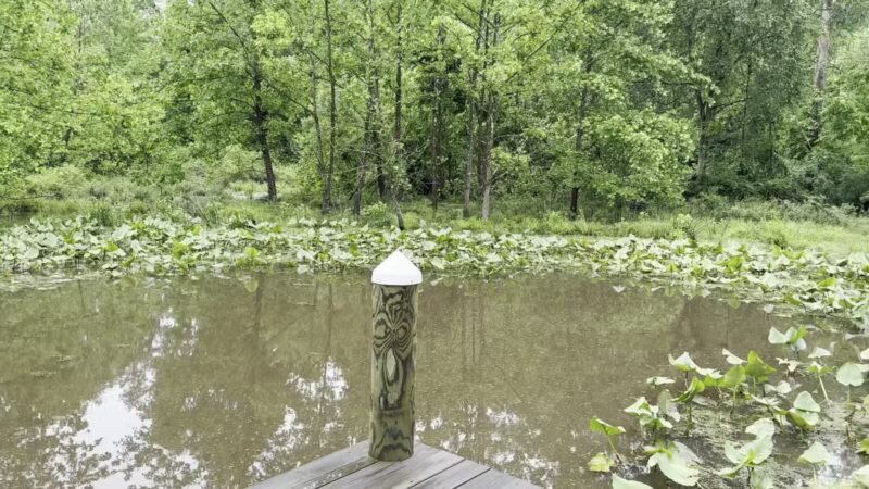 Ward Farm Recreation and Nature Park - Dunkirk, MD