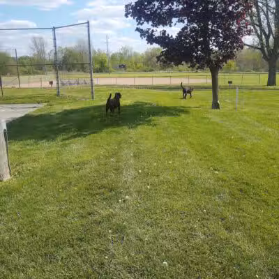 Optimist Park - Durand, MI
