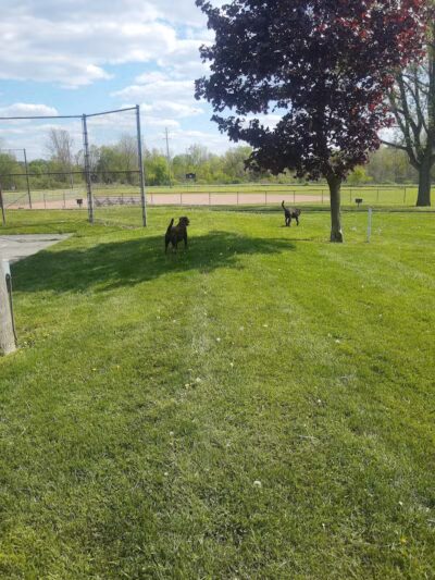 Optimist Park - Durand, MI