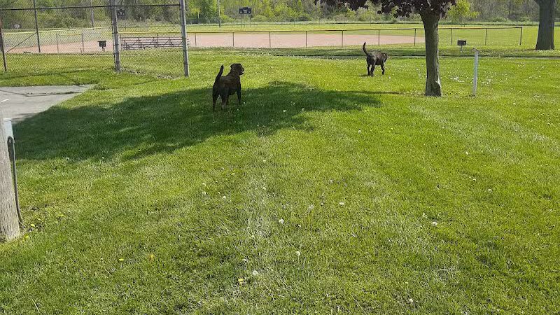 Optimist Park - Durand, MI