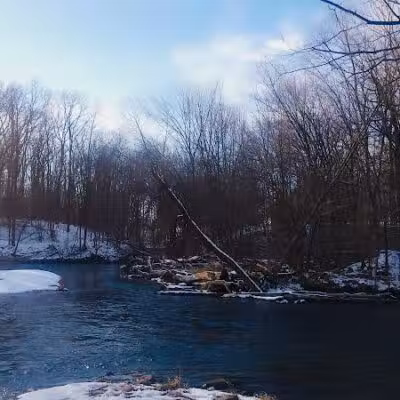 Shiawassee County Park Shiatown - Durand, MI