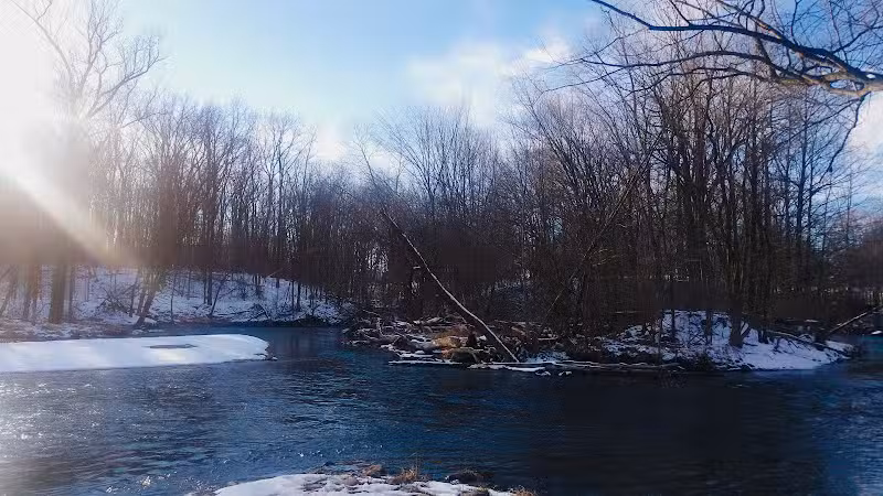 Shiawassee County Park Shiatown - Durand, MI