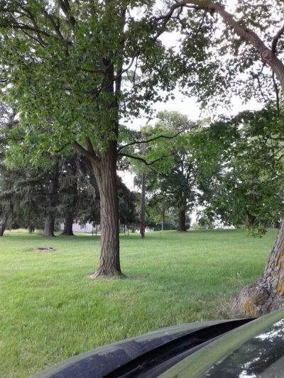 Shiawassee County Park Shiatown - Durand, MI