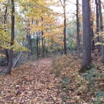 Shiawassee County Park Shiatown - Durand, MI