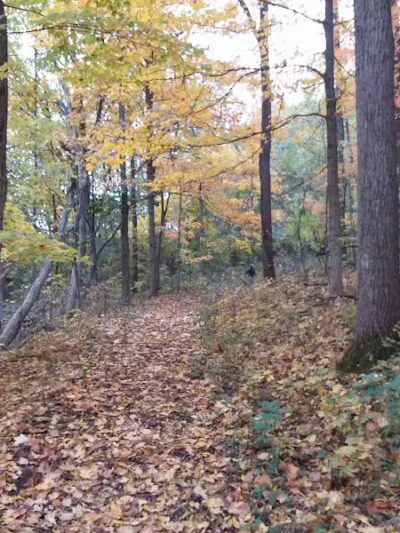 Shiawassee County Park Shiatown - Durand, MI